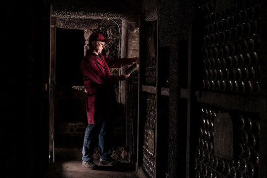 VINHO DO PORTO: VINTAGE OU COLHEITA? APRENDA A DISTINGUIR ESTAS DUAS CATEGORIAS TÃO ESPECIAIS