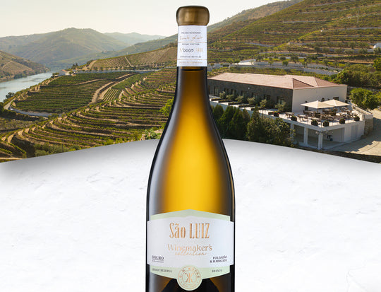 folgazao e rabigato douro white wine