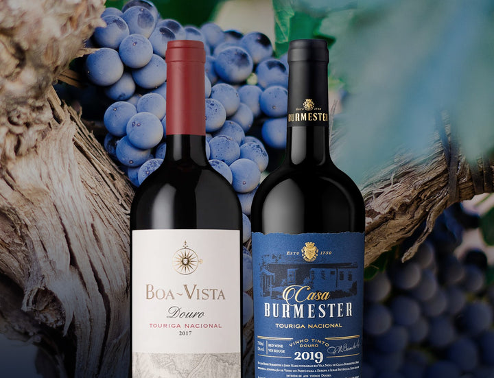 touriga nacional wines