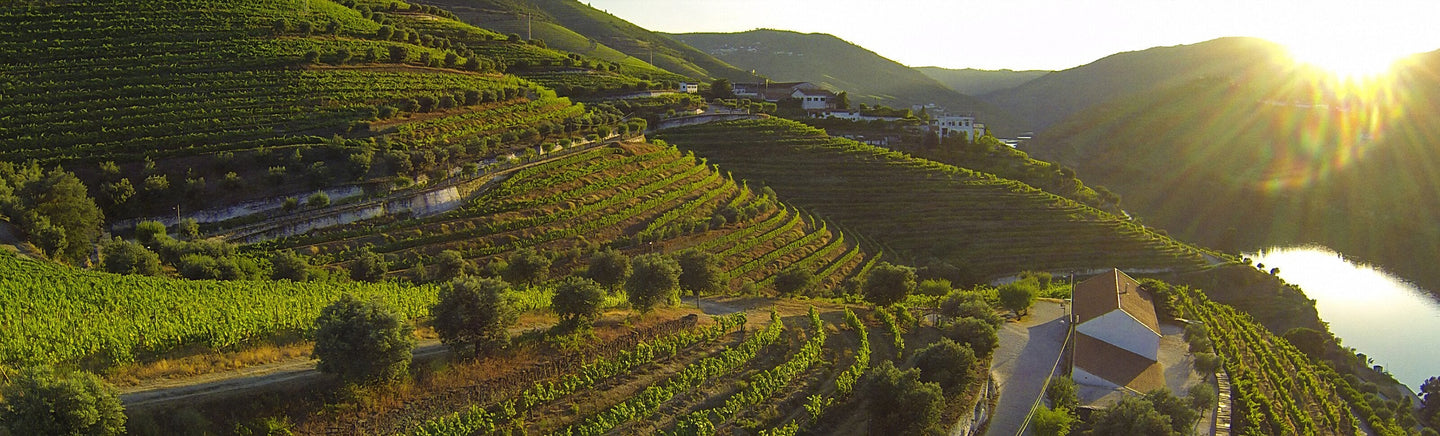 Vinhos do Porto